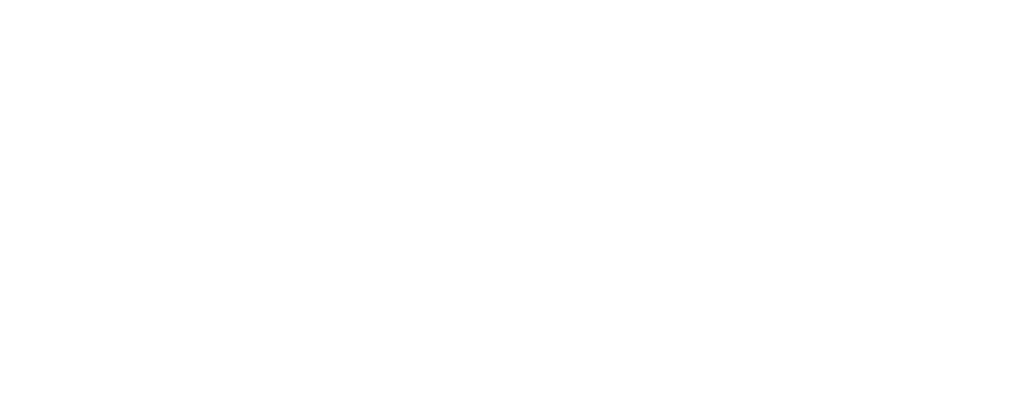 intSystem